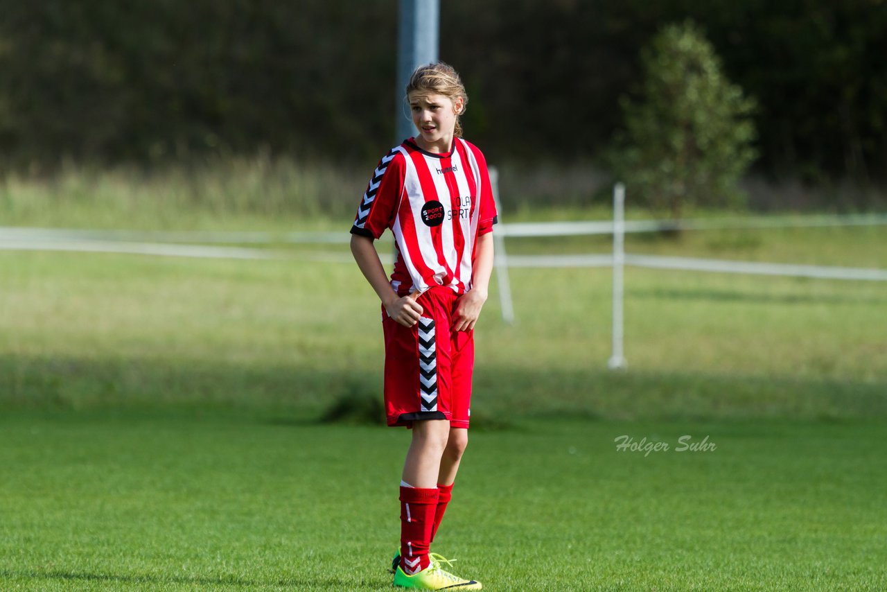 Bild 240 - B-Juniorinnen TuS Tensfeld - VfL Oldesloe 2 : Ergebnis: 2:5